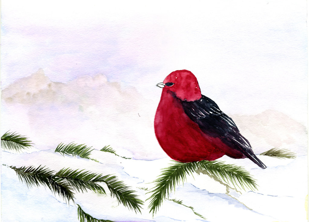 xmasbird