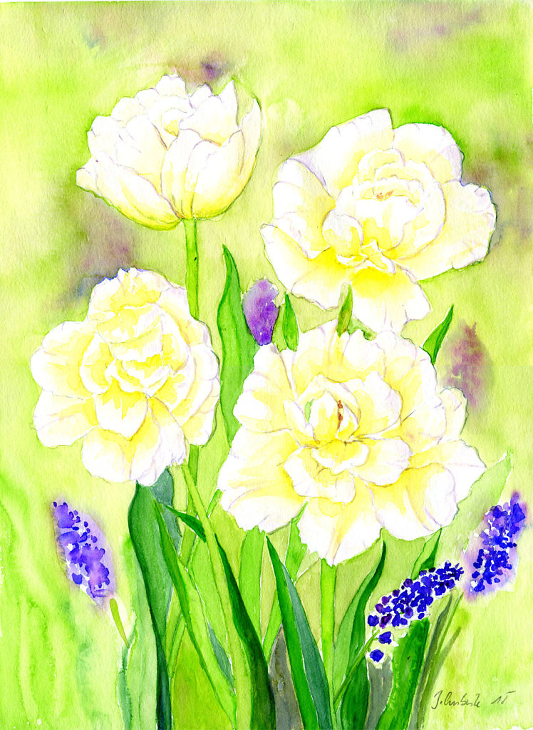 Weisse Tulpen