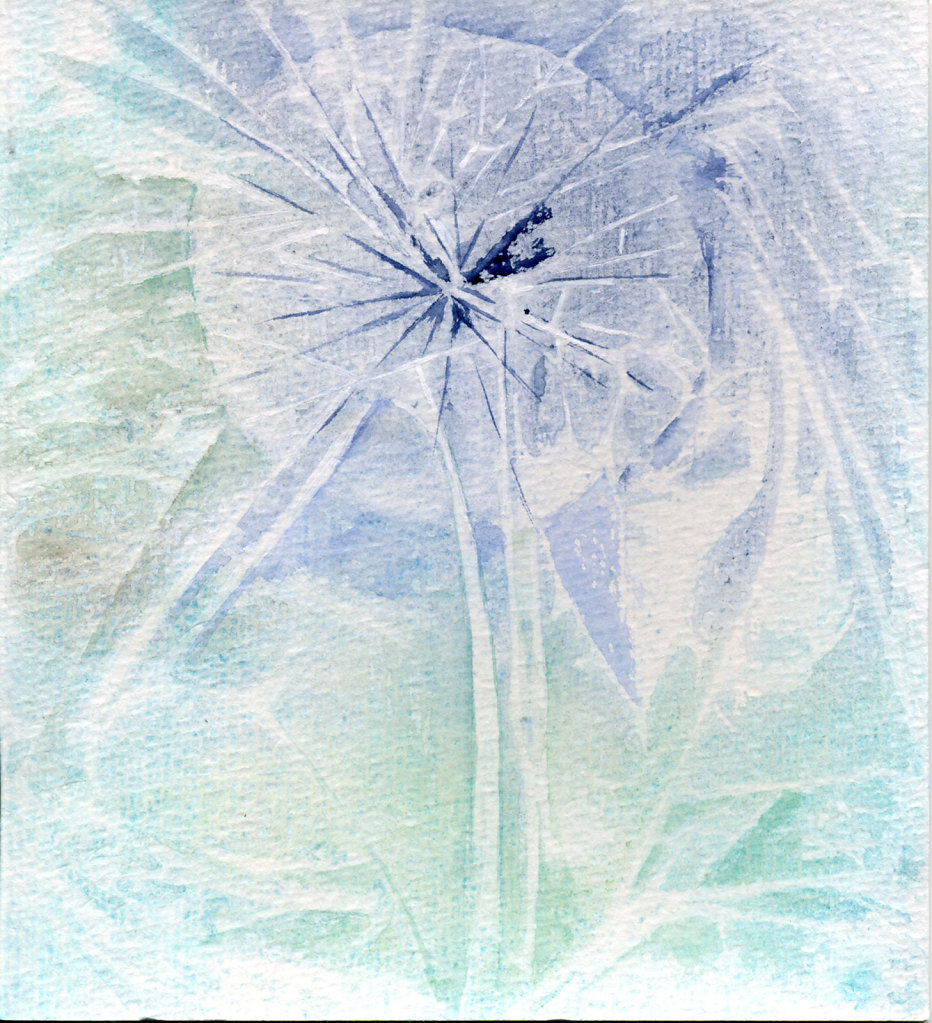 Pusteblume